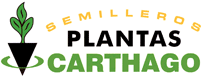 Logotipo de Plantas Carthago